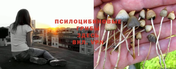 мет Майский