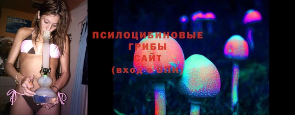 мдпв Магас